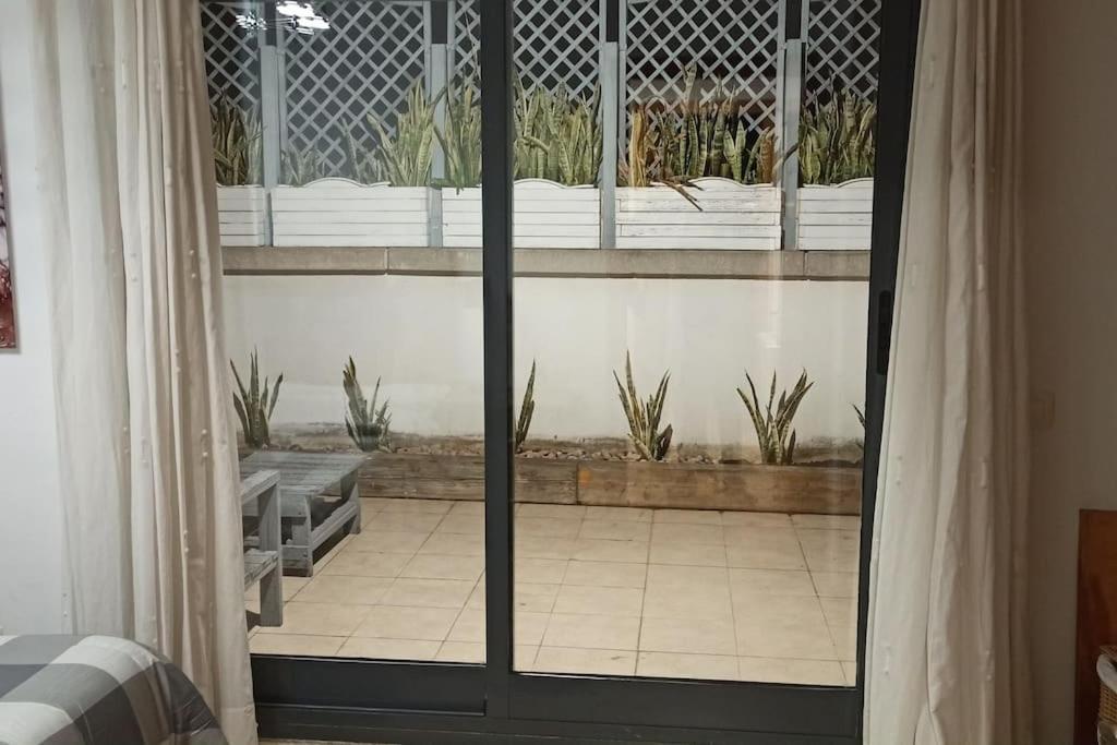 Apartmán Atico En Paiporta Con 2 Grandes Terrazas Valencie Exteriér fotografie